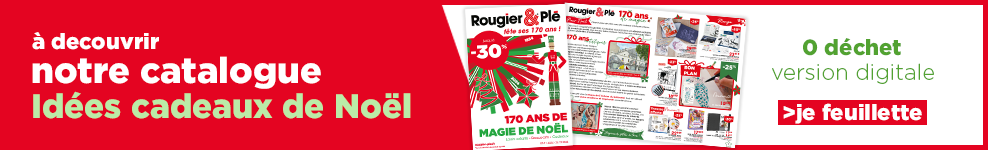 Catalogue Noël Cadeaux - Rougier et Plé