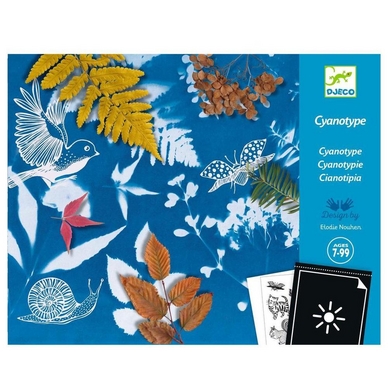 Kit Papier pour Cyanotype