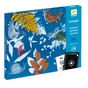 Kit Papier pour Cyanotype