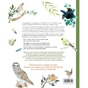 Livre Aquarelle, oiseaux des jardins et forêts