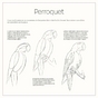 Livre Dessiner tout de suite et facilement Les animaux