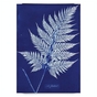 Kit cyanotype 2 pcs